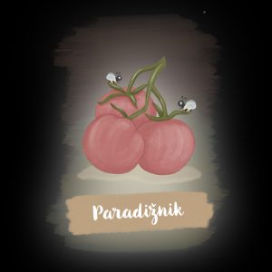 profesionalno seme paradižnik